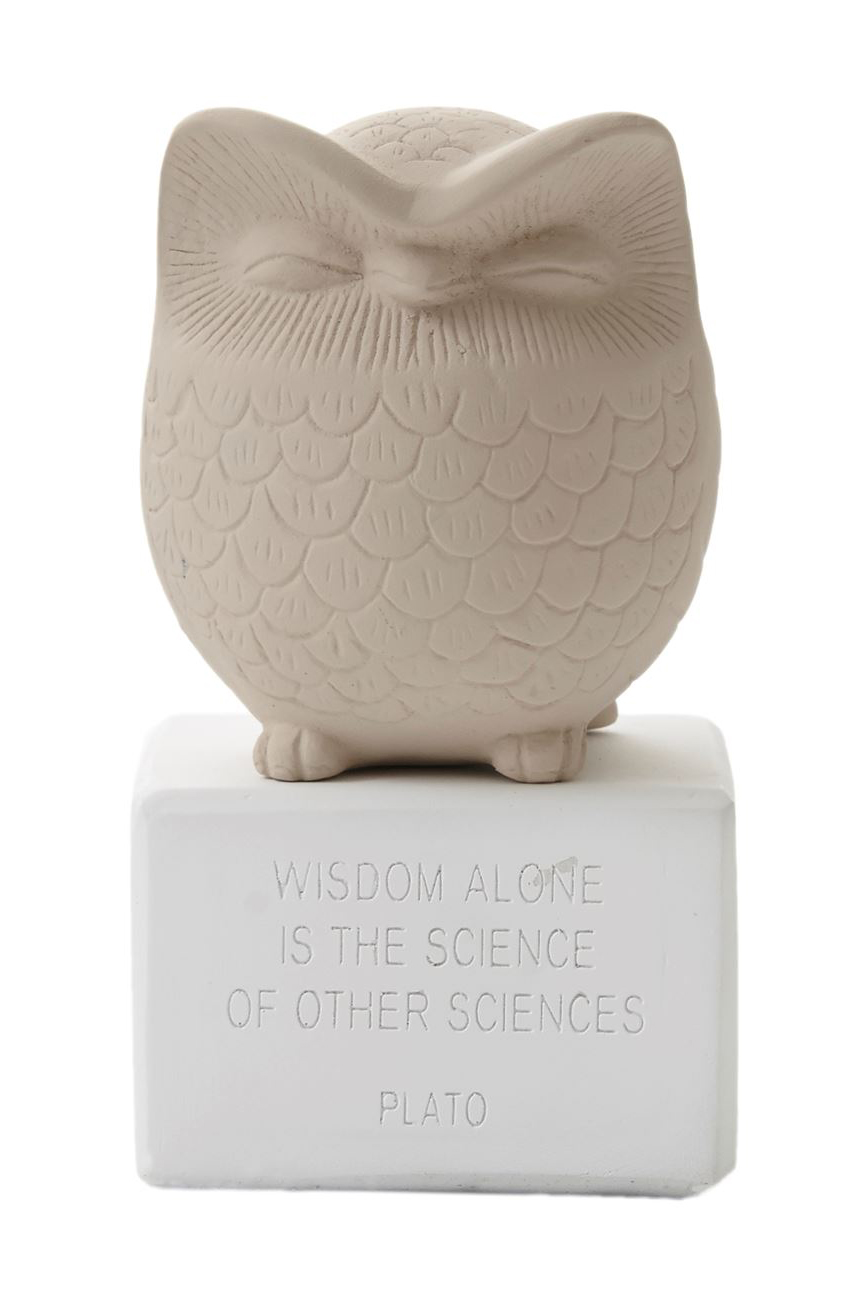 sophia-owl-medium